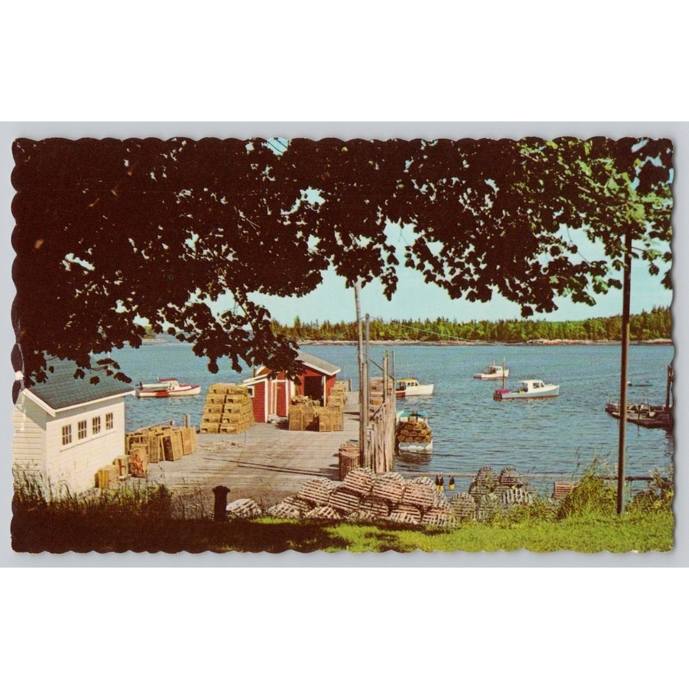 POSTCARD Friendship, Maine‎ – Lobster Wharf Harbor Scene – c.1950s Boats Fishing